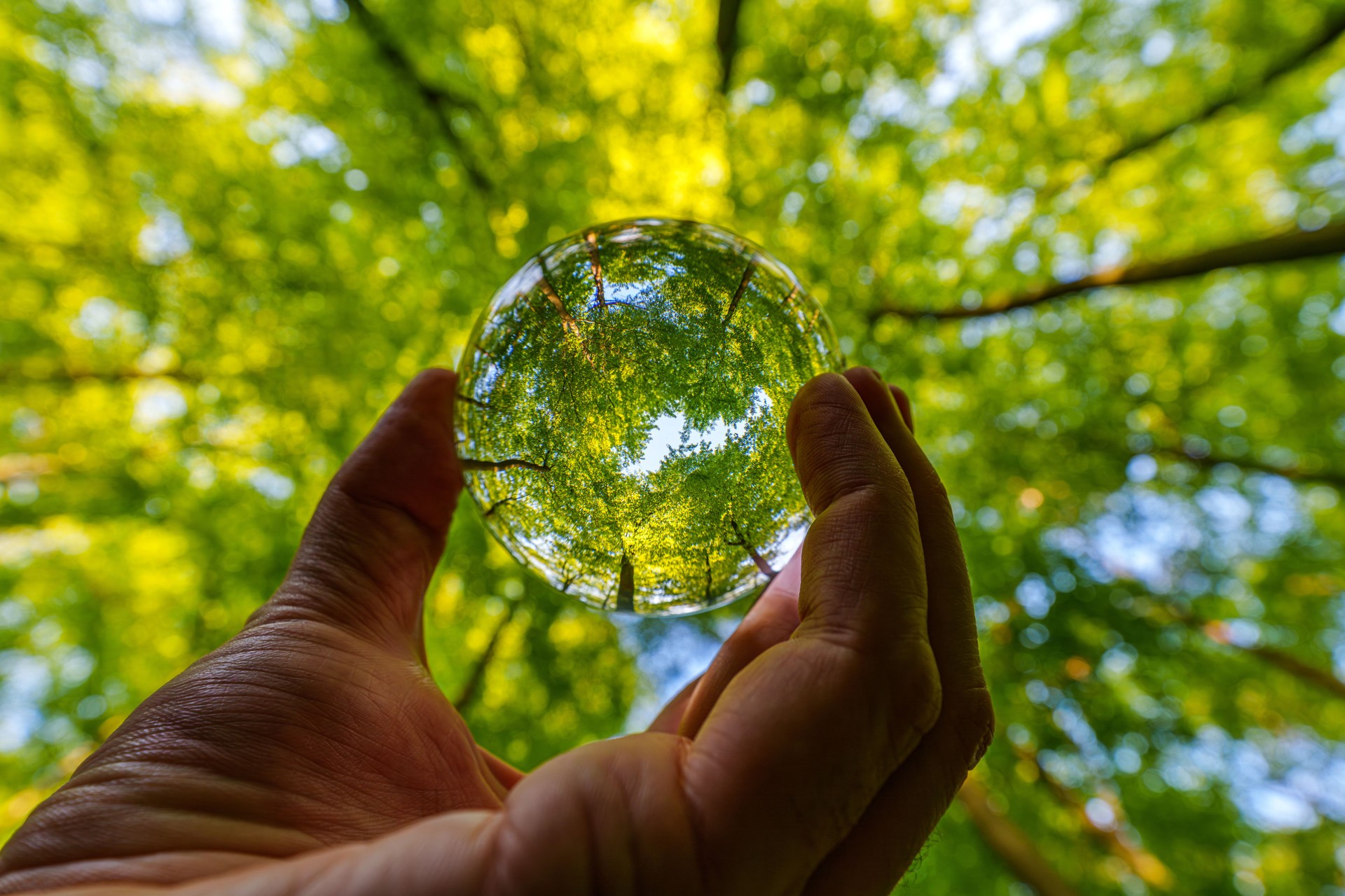 Environment Concept - Crystal Earth On moss In Forest With Ferns And Sunlight - Environment, save clean planet, ecology concept.